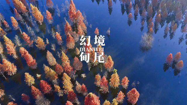 恩格斯：为什么说费尔巴哈是德国古典哲学的终结者？