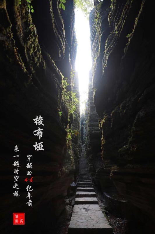 公主的华丽晚宴