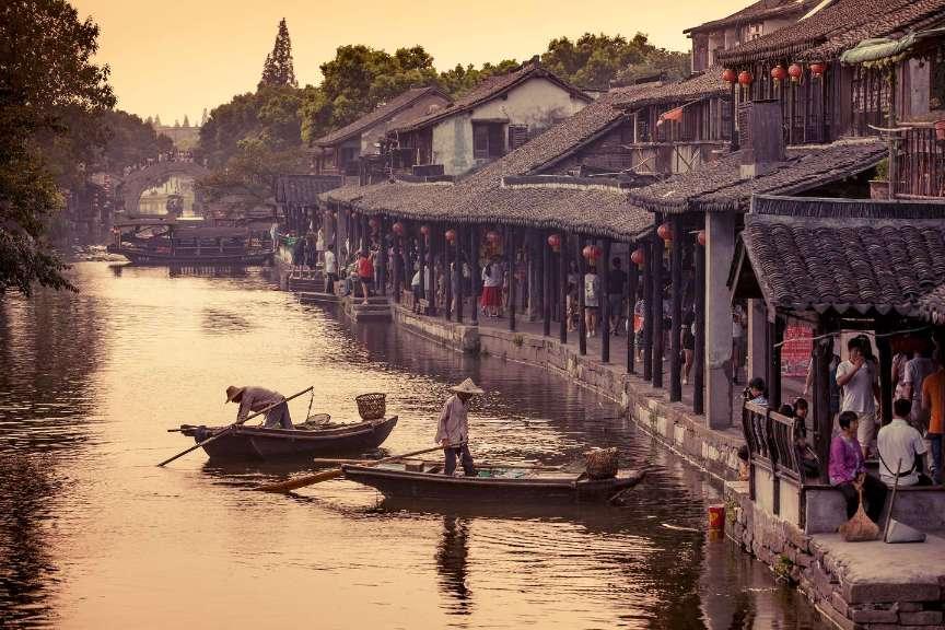 救援鹦鹉