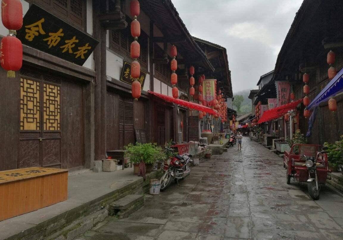 国足选帅难度重重